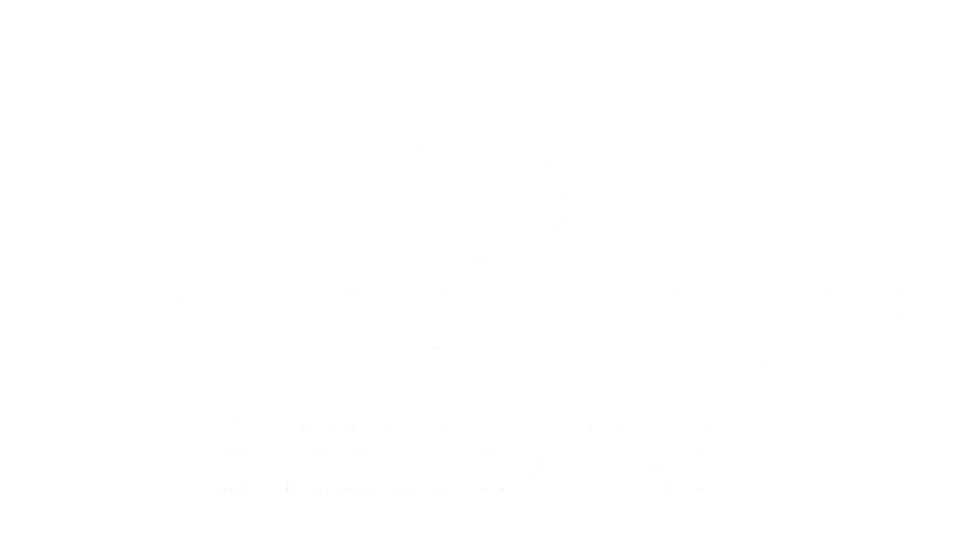 CONECTA-T B2B